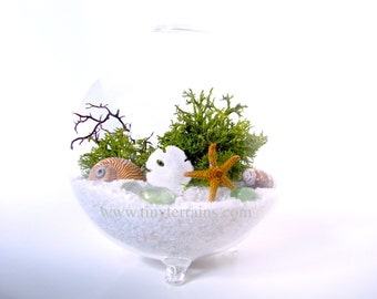 FREE Shipping, FREE Gift Box, 3" Globe Beach Terrarium kit ,White, Black, or Natural Sand, Moss DIY Terrarium Gift, Beach Decor, Desk decor