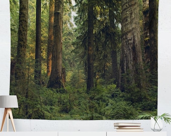 Olympic Rain Forest Tapestry, Cedar Trees, Lush Green Large Wall Art