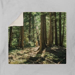 Cedar Forest Sherpa Throw Blanket, Trees Sherpa Vegan Fleece - 2 Sizes