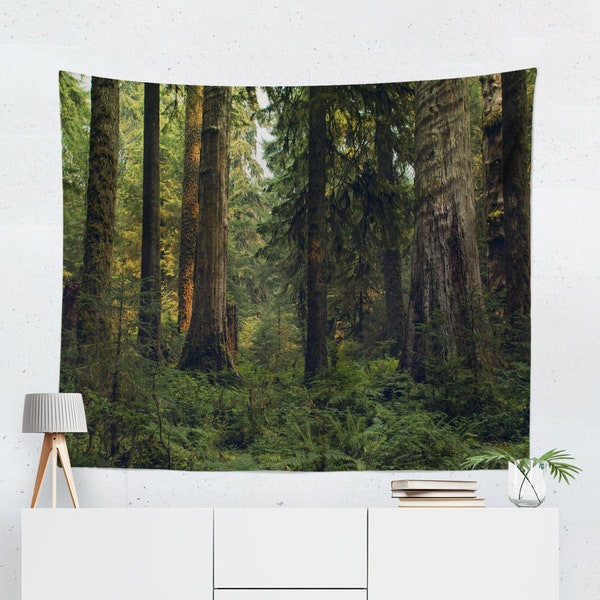 Olympic Rain Forest Wall Tapestry, Cedar Trees Wall Hanging, Ferns, Lush Forest Bedroom Decor, Giant Cedars, Sunbeams