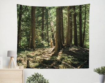 Cedar Grove Forest Tapestry, Trees Wall Hanging, Sunlit Woodland Wall Art, Therapeutic Decor