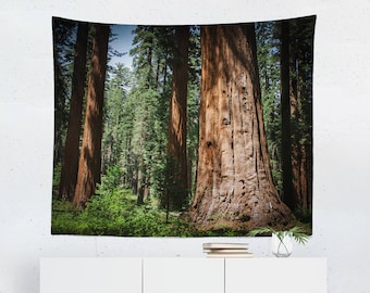 Redwood Forest Tapestry, Four Sizes, Sequoia Tree Wall Hanging, Humboldt County, Northern California, Room Divider