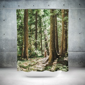 Cedar Forest Shower Curtain, 71x74 inch - Nature Bathroom Decor, Sunlit Trees, Modern Escapism