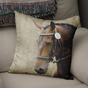 May include: A brown horse with a black bridle and a white and silver headstall. The horse is wearing a number 16 tag on its bridle.