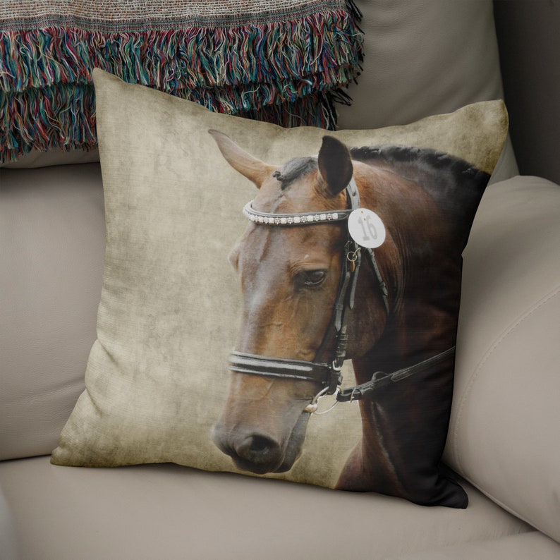 May include: A brown horse with a black bridle and a white and silver headstall. The horse is wearing a number 16 tag on its bridle.