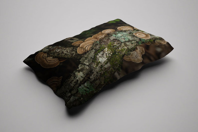 May include: A cushion with a detailed image of a tree branch covered in brown and tan bracket fungi. The branch has patches of green moss and lichen, set against a dark, blurred background. The cushion has a natural, earthy theme.