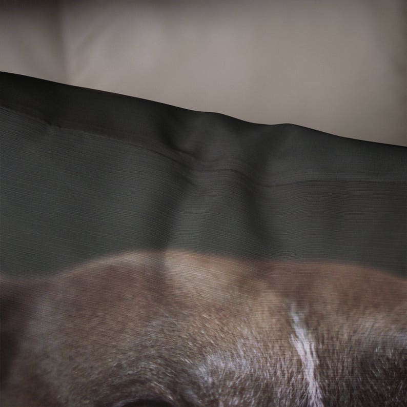 May include: Close-up of a brown and black dog's face. The dog's fur is soft and fluffy. The dog's eyes are closed and the dog is sleeping.