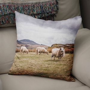 Sheep in Wales Throw Pillow - Country Decor, Welsh Sheep Pillow Case, Farmhouse Chic, Cute Farm Animals, Farmer Gift