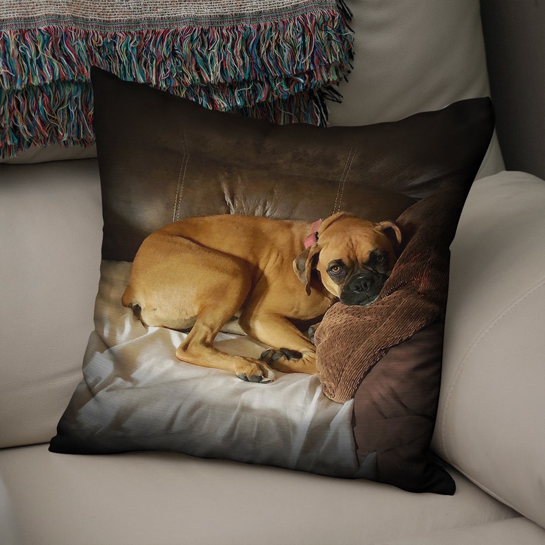 May include: A brown and white boxer dog is lying on a brown and white pillow. The dog is looking at the camera with a sad expression.