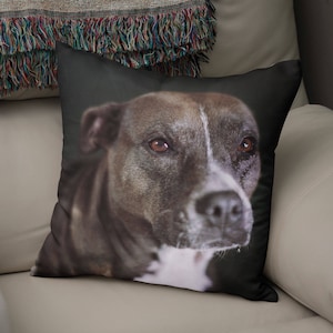 May include: A close-up of a brown and gray dog's face. The dog has a white patch on its chest and is looking directly at the camera.