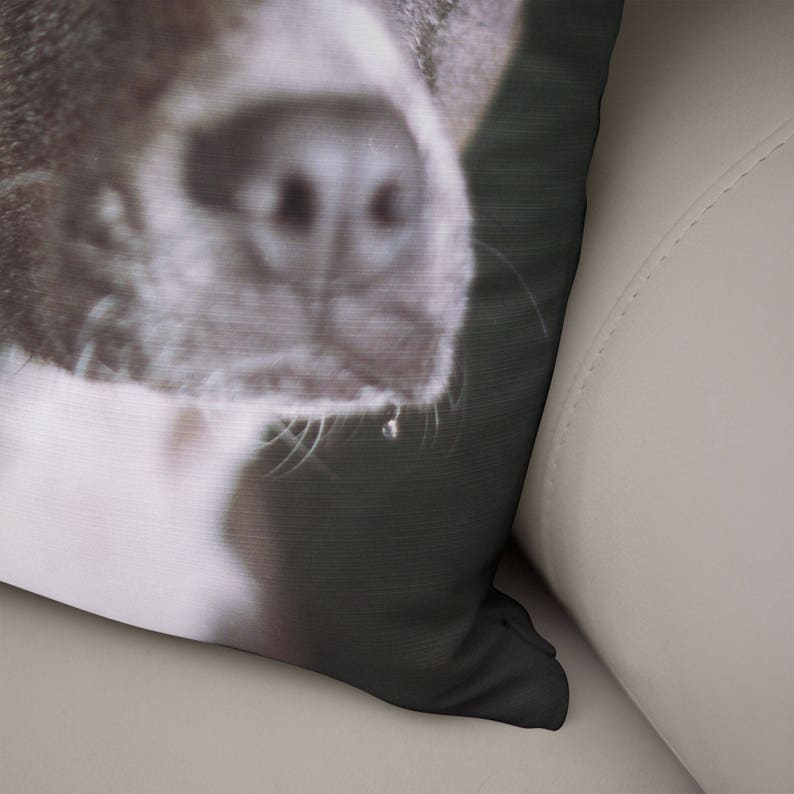 May include: Close-up of a dog's nose and mouth. The dog's nose is wet and the mouth is slightly open. The dog's fur is white and brown.