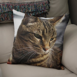 May include: A close-up of a tabby cat's face with green eyes. The cat is looking down and to the right. The cat's fur is brown and black with white whiskers.