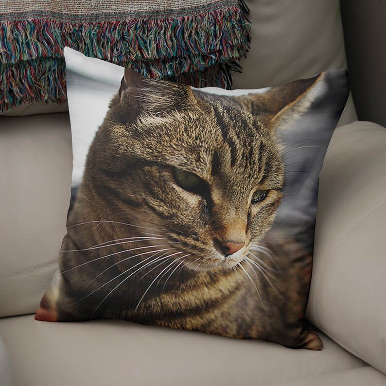 May include: A close-up of a tabby cat's face with green eyes. The cat is looking down and to the right. The cat's fur is brown and black with white whiskers.