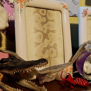 May include: Cream-colored rectangular picture frame with floral accents. The frame holds a patterned, textured insert. An alligator skull and other decorative items are in the foreground, including a red figurine and a mushroom-shaped object.