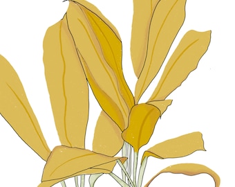 Ti Time in Yellow 11x14" includes mat