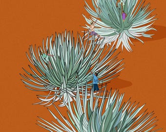 Jumping through the Ahinahina