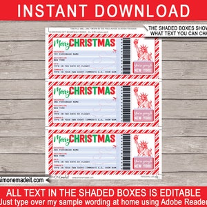 New York Boarding Pass Template Printable Christmas Gift Plane Ticket Surprise Trip Reveal Getaway Holiday Flight EDITABLE TEXT image 2