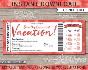 Social Distancing Surprise Holiday Travel Ticket Reveal Gift Idea Printable Template - Mask Sanitizer - INSTANT DOWNLOAD with EDITABLE Text