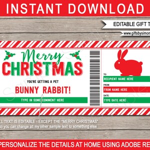 Haustier Kaninchen Geschenkgutschein Vorlage - Druckbare Weihnachtsgutschein Ticket Coupon - INSTANT DOWNLOAD mit EDITIERBARE Text