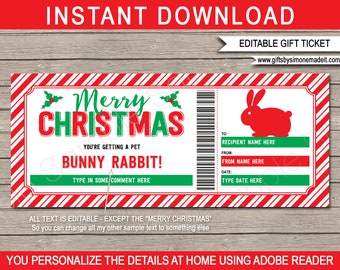 Pet Bunny Rabbit Gift Certificate Template - Printable Christmas Voucher Ticket Coupon - INSTANT DOWNLOAD with EDITABLE text