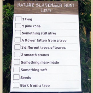 Camping Party Nature Scavenger Hunt List Template Printable Campout Birthday Party Games EDITABLE TEXT DOWNLOAD you personalize image 3