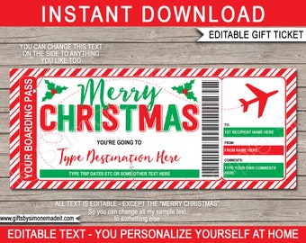 Boarding Pass Template Surprise Trip Fake Plane Ticket Christmas Gift, Airplane Flight Destination Airline - INSTANT DOWNLOAD text EDITABLE