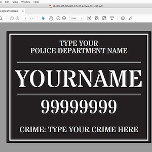Mugshot Backdrop & Sign Board Police Lineup CSI Cops and Robbers Stag Bachelorette INSTANT DOWNLOAD Pdf 36x48 A0 sizes image 5