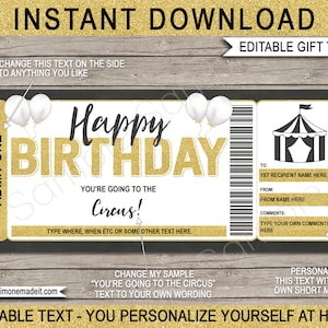 Circus Ticket Template Birthday Gift Voucher Certificate Printable Template - Kids Carnival Tent - DIY Coupon - EDITABLE Text DOWNLOAD