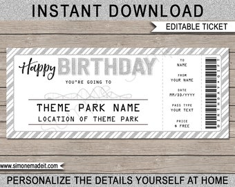 Surprise Theme Park Ticket Birthday Gift Printable Template - Amusement Park Ticket Coupon - Silver Glitter - EDITABLE TEXT DOWNLOAD