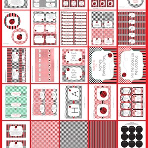 Editable & Printable Ladybug Birthday Party Decorations + Invitation template