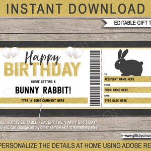 Modèle de chèque-cadeau lapin - coupon de billet d'anniversaire imprimable pour lapin pour animaux de compagnie - TÉLÉCHARGEMENT IMMÉDIAT avec texte MODIFIABLE