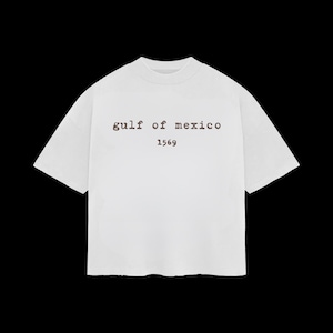 Könnte beinhalten: Ein weißes kurzärmeliges T-Shirt mit Rundhalsausschnitt. Auf der Vorderseite befindet sich der Text "gulf of mexico" in einer dunkelbraunen Schreibmaschinenschrift, wobei die Zahl "1569" direkt darunter in derselben Farbe aufgedruckt ist.