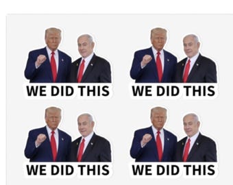 Trump Netanyahu We Did This Sticker Sheets - 2.25 inch sticker - 16 per sheet