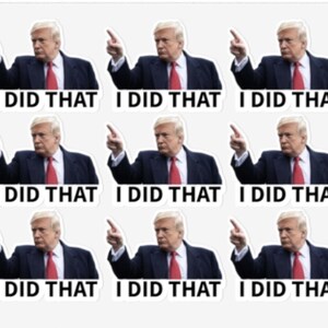 Hoja de pegatinas "Trump I Did That" / 36 pegatinas de 1,7 pulgadas / FDT / Pegatinas anti-Trump
