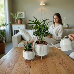 Op de afbeelding: Twee witte, geribbelde plantenbakken met bruine randen en houten poten staan op een houten tafel. Eén bevat een kleine vetplant, de andere een grotere groene plant. Een persoon geeft de grotere plant water met een witte gieter.