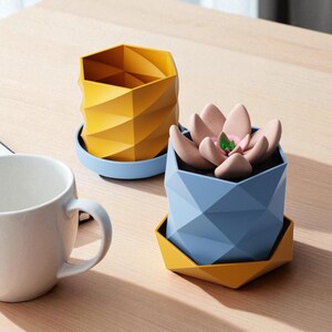 Könnte beinhalten: Eine weiße Keramiktasse, ein Notizbuch und zwei geometrische Pflanzgefäße auf einer Holzoberfläche. Ein Pflanzgefäß ist gelb mit blauem Sockel, das andere blau mit gelbem Sockel und enthält eine künstliche Sukkulente.