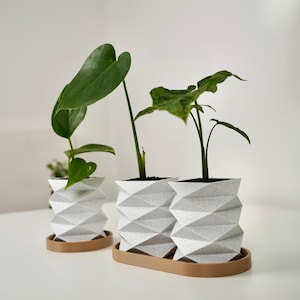 Könnte beinhalten: Drei geometrische weiße Pflanzgefäße mit grünen Pflanzen, auf einem braunen Tablett. Die Pflanzgefäße haben ein strukturiertes, origamiartiges Design. Die Pflanzen haben große, grüne Blätter. Das Setup befindet sich auf einer weißen Oberfläche.