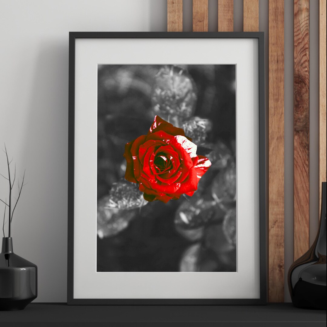 Elegant Red Rose Photography Print - Stylish Wall Decor for Flower ...