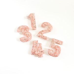 Birthday Hair Clip -  Age Hair Clip - Number Hair Clip- Glitter Hair Clip - Resin Hair Clip