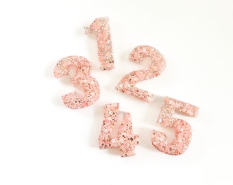 Birthday Hair Clip -  Age Hair Clip - Number Hair Clip- Glitter Hair Clip - Resin Hair Clip