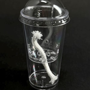May include: A clear plastic cup with a clear dome lid. Inside, a white wick is suspended in water. The cup has a small, built-in shelf. The cup is on a black surface.