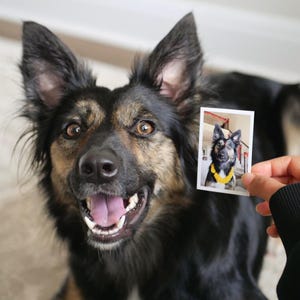 Custom Mini Photo Prints, Personalized Mini photo prints, Pet prints for Wedding, Birthday, Anniversary, Couple Milestones bild 9