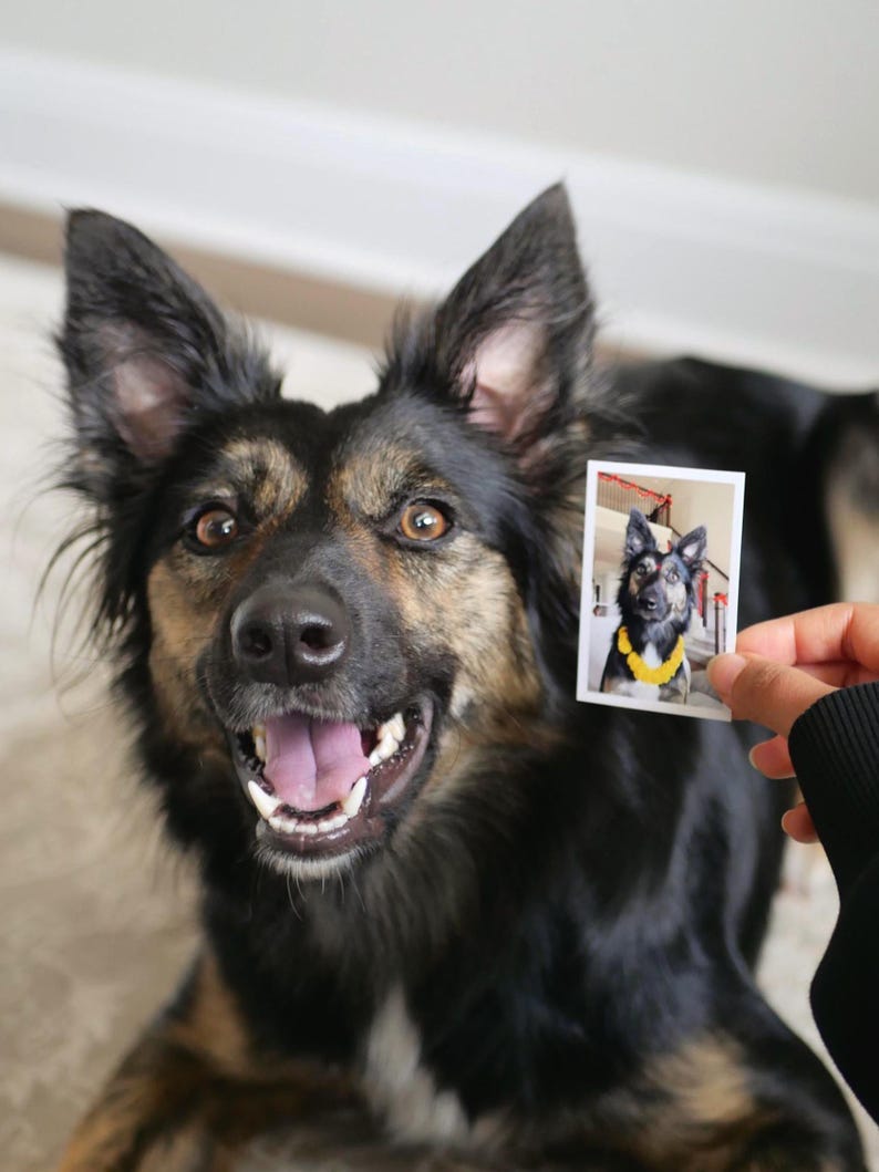 Custom Mini Photo Prints, Personalized Mini photo prints, Pet prints for Wedding, Birthday, Anniversary, Couple Milestones bild 9