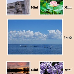 Custom Mini Photo Prints, Personalized Mini photo prints, Pet prints for Wedding, Birthday, Anniversary, Couple Milestones bild 10