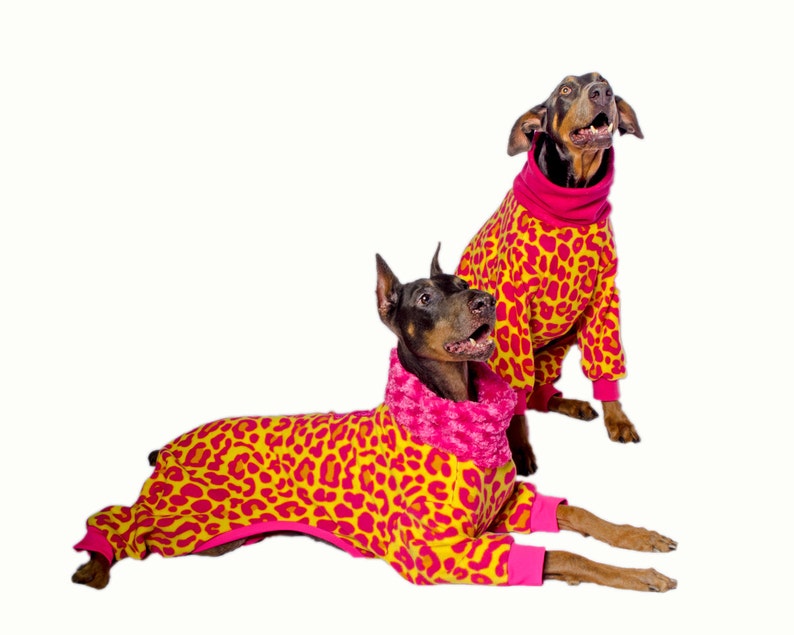Camping Under The Stars Dog Pajama with Orange Trim