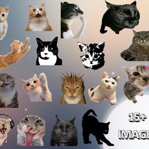 Uttrycksfull katt PNG Clipart: Meme- och klistermärkesdesigner (digital nedladdning)