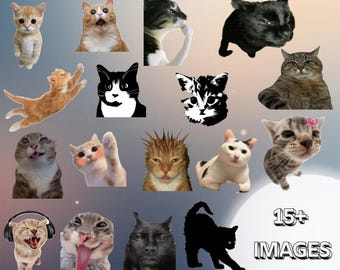 以下が含まれることがあります： 様々なポーズや表情の猫の画像コレクション。猫は様々な品種と色で、アクセサリーを身につけているものもあります。画像には「15+ IMAGES」の文字が含まれています。