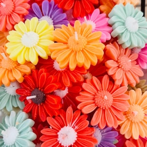 Könnte beinhalten: Nahaufnahme einer Sammlung von blütenförmigen Kerzen in verschiedenen Farben: Rot, Orange, Gelb, Rosa, Lila und Grün. Jede Kerze hat eine weiße oder braune Mitte und einen kleinen Docht. Die Kerzen sind eng beieinander angeordnet und bilden eine lebendige Darstellung.