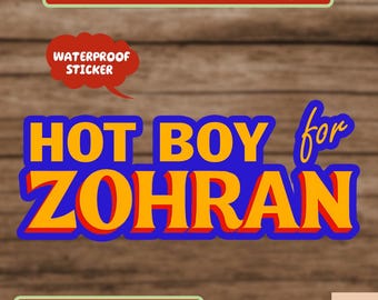 Hot Boys for Zohran Stickers, Zohran Mamdani Decal, Mayor Zohran Sticker, Mayor of NYC, Political  Sticker, Anti Maga Stickers
