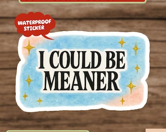 I Could Be Meaner Sticker, Minimalist Edgy Humor Vinyl Decal, Sarcastic Quote Sticker, Laptop Water Bottle Sticker